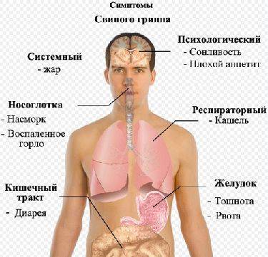 Болезнь бюргера — описание, диагностика, лечение