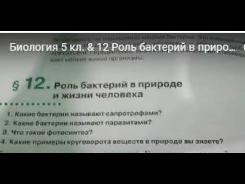 Роль бактерий в природе и жизни человека