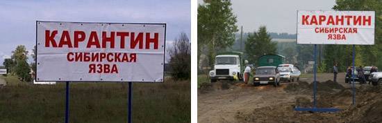 Возбудитель сибирской язвы. таксономия. характеристика. микробиологическая диагностика. специфическая профилактика и лечение