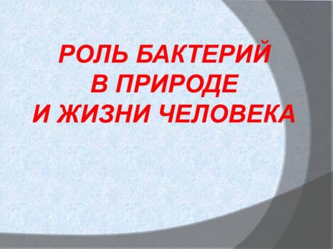 Роль бактерий в жизни человека. полезные бактерии