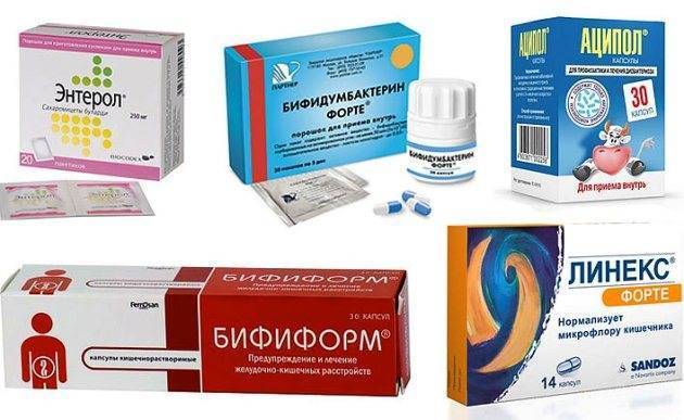 Кишечная палочка в мазке у женщин: причины, симптомы и лечение, нормы