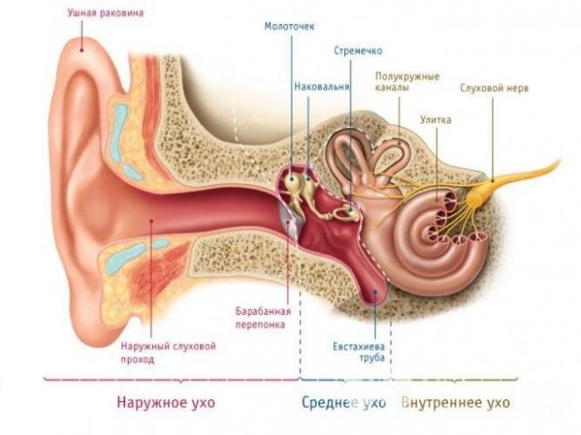 Заложенность в ухе после отита: лечение, упражнения