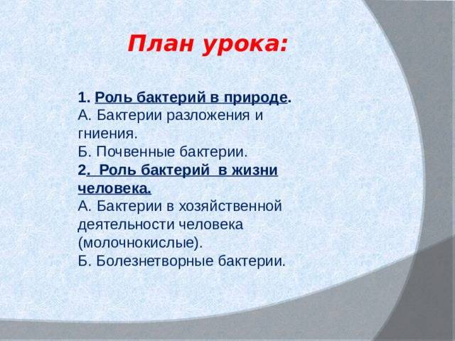 Что важно знать о болезнетворных бактериях, их разновидностях и способах питания