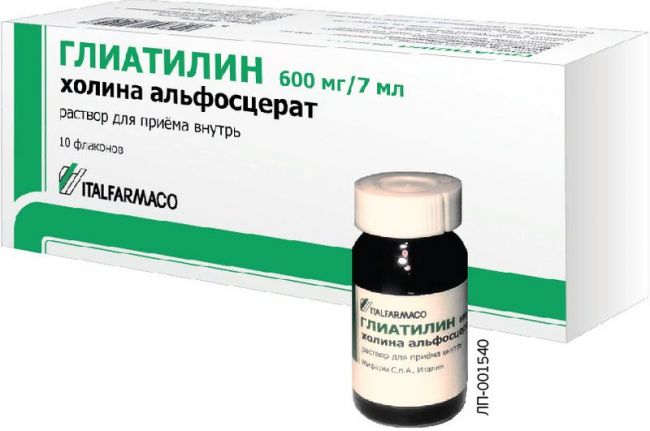 Для чего нужен пантогам? инструкция по применению, цена и отзывы