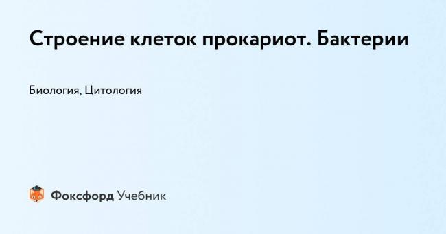 Как соотносится строение бактериальной клетки и ее функции
