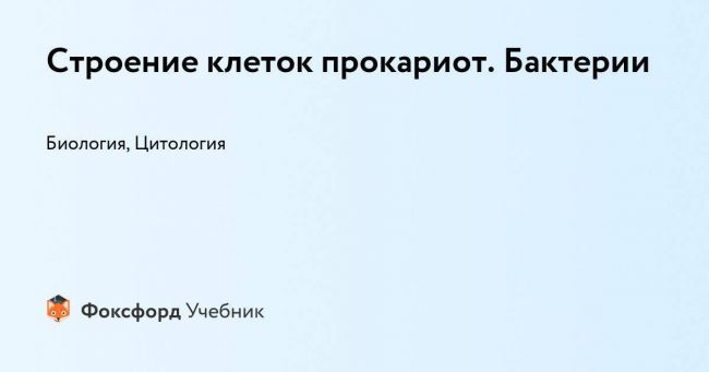 Состав клетки бактерии и функции цитоплазмы