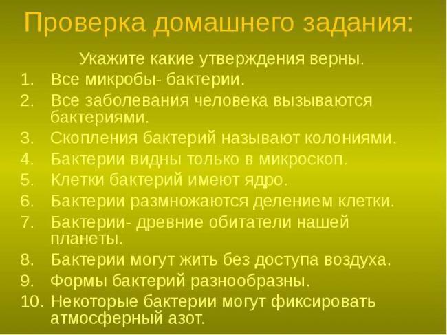 Как выявить и определить наличие бактерий в организме