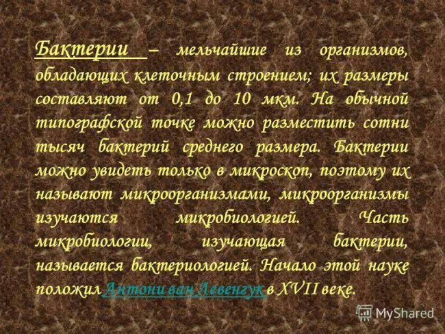 След первой бактерии