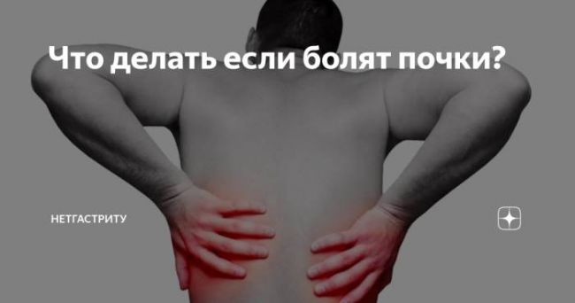 Болят почки: что делать в домашних условиях?