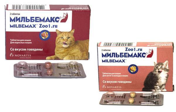 Мильбемакс для лечения и профилактики глистов у кошек