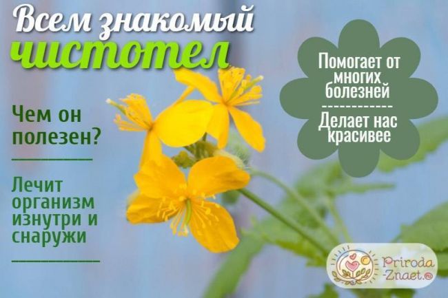 Аденоиды - причины, симптомы, диагностика и лечение