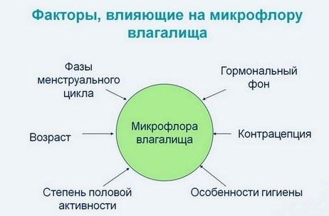 Нарушение микрофлоры влагалища:причины, диагностика, лечение
