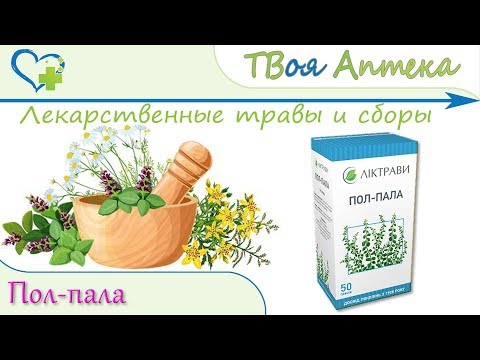 Лечебные свойства травы пол пала, рекомендации и рецепты для использования при урологических заболеваниях
