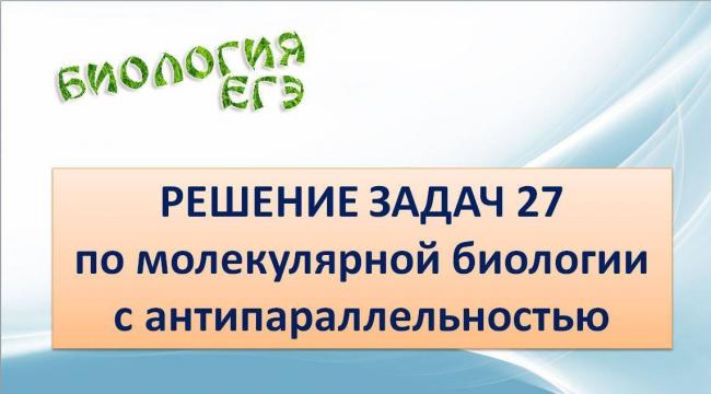 Кольцевая молекула днк
