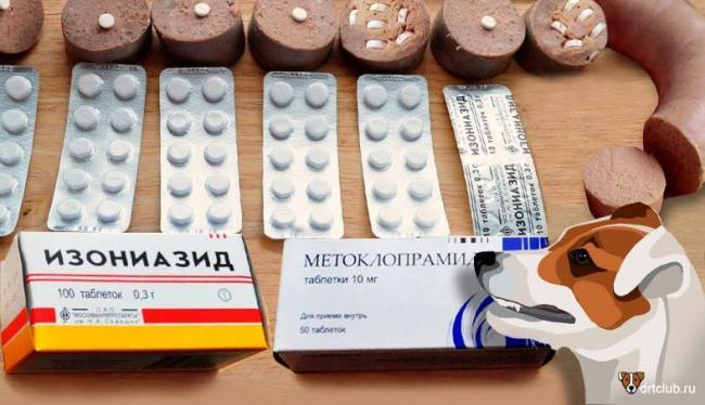 Отравление собак изониазидом