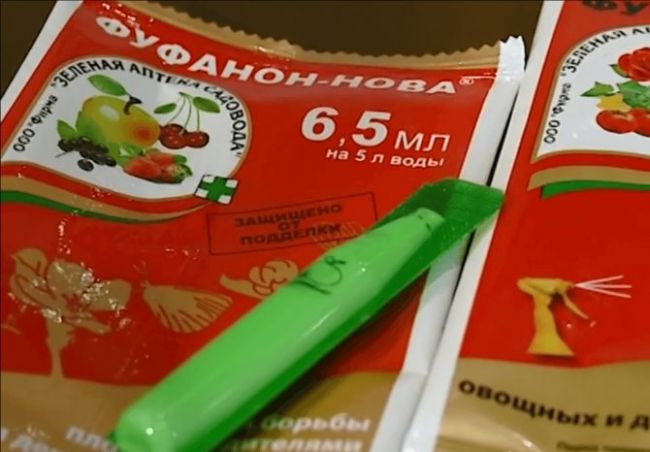 Фуфанон-нова — инструкция по применению в саду от вредителей и муравьев