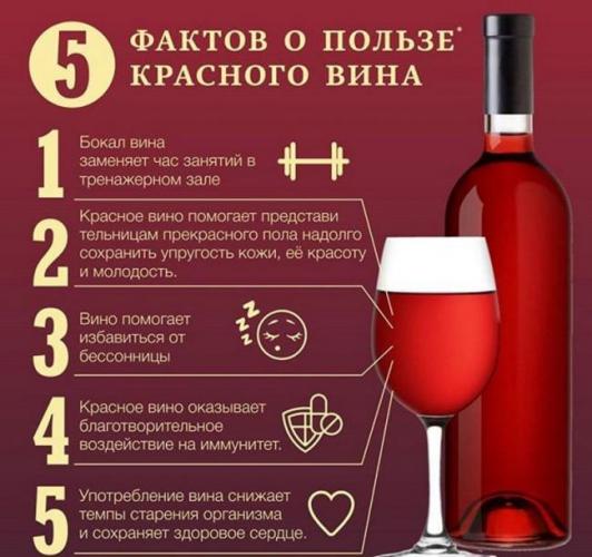 ЗдоровьеПравда ли красное вино полезно для здоровья