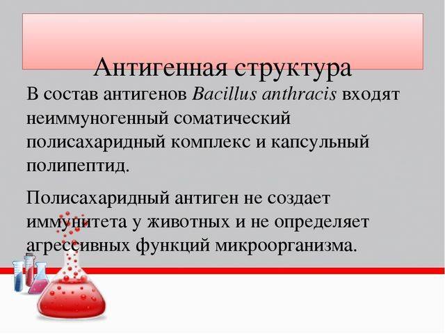 Сибирская язва: возбудитель заболевания, симптомы, лечение и профилактика. фото