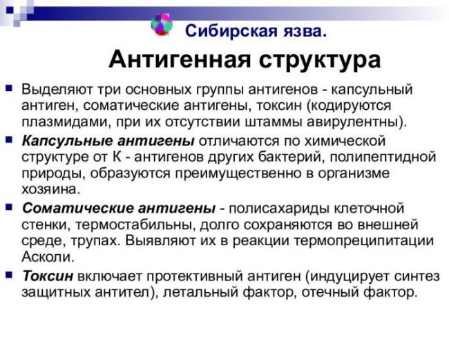 Сибирская язва: возбудитель и его патогенность, эпидемиология, клиника инфекции, диагностика, терапия