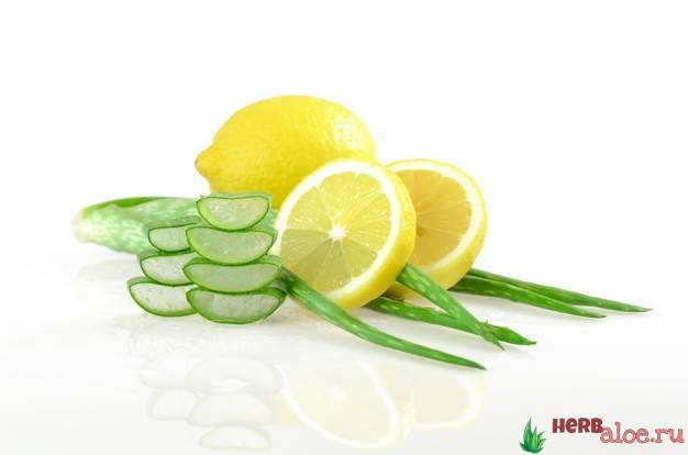 Рецепт от кашля с алоэ и медом