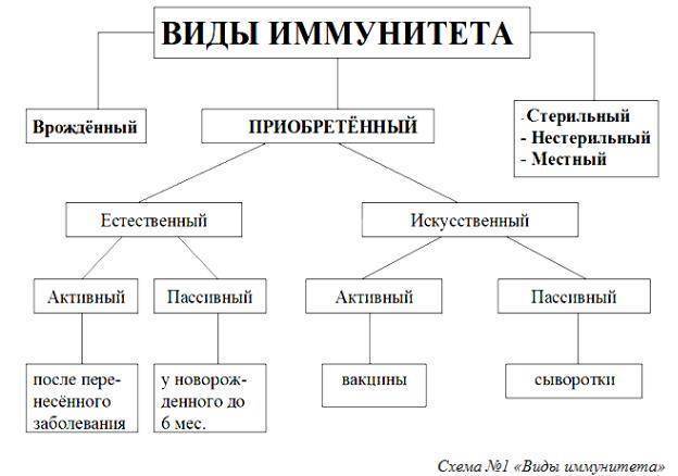 Искусственный активный иммунитет
