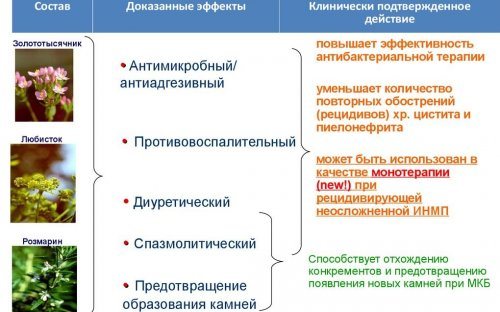 Лечение мочевыводящей системы с препаратом нефросан