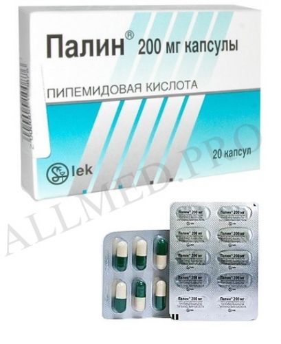 Палин инструкция по применению (таблетки)