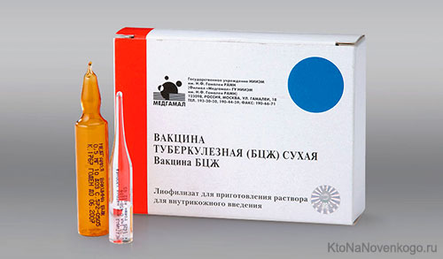 Реакция на бцж у новорожденных: когда делают прививку, фото нормы как заживает, протекает, гноится через месяц, для чего назначают
