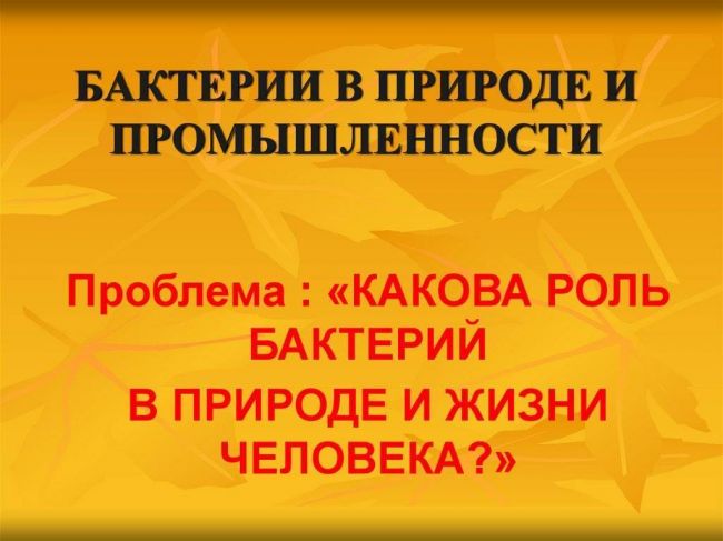 Йогурт
