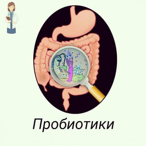 Бактерии и вещества в продуктах питания: полезные и не очень