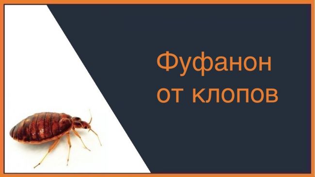 Фуфанон — действенное средство от клопов