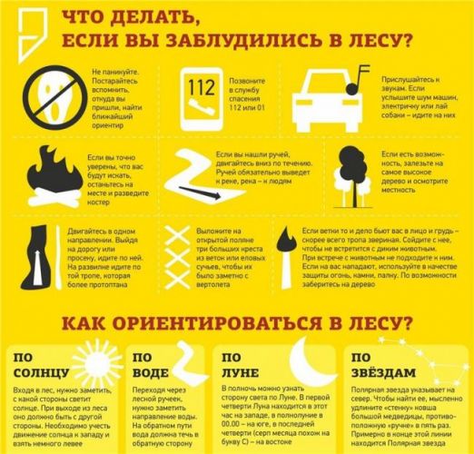 Виды мышечных сокращений
