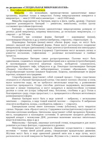 Роль бактерий в жизни человека. полезные бактерии