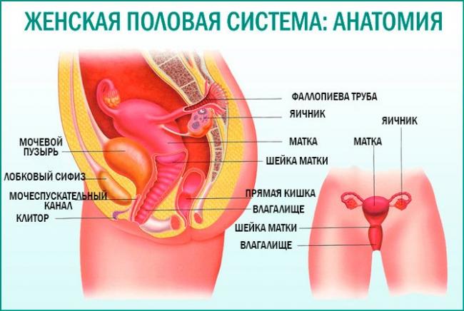 От чего помогает «лонгидаза» (свечи). инструкция по применению, цена и аналоги