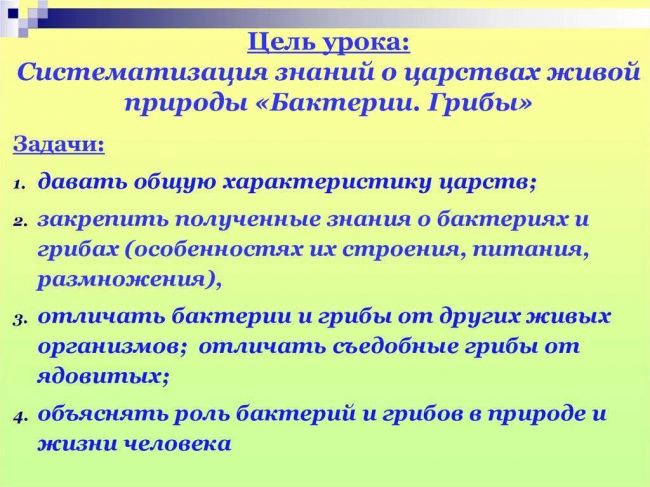 Бактерии и их роль в функционировании живой природы