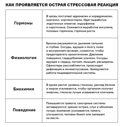 Глюкокортикостероиды и спорт — sportwiki энциклопедия