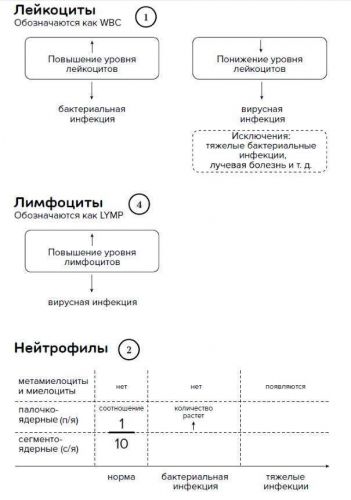 Как отличить бактериальную инфекцию от вирусной у детей по симптомам?