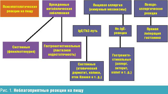 Пищевая аллергия: причины, симптомы, диагностика, лечение и профилактика