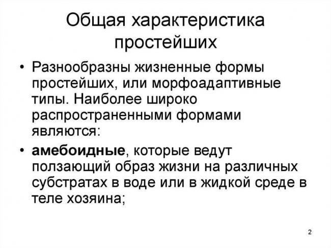 Разница между бактериями и вирусами