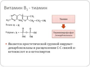 Тиамин