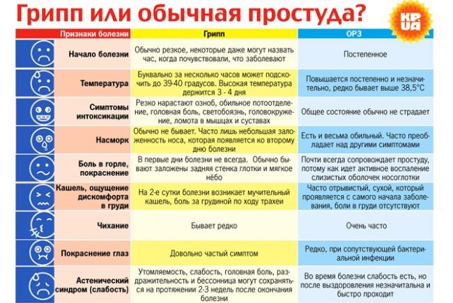 Ученые: грипп нужно уметь отличать от обычной простуды