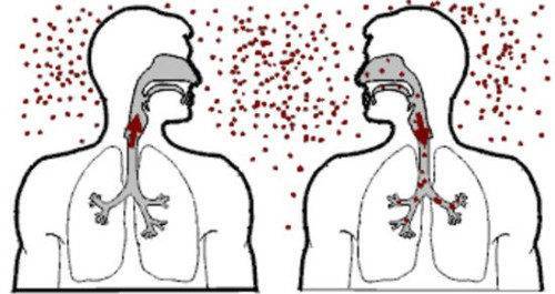 Палочковидные
