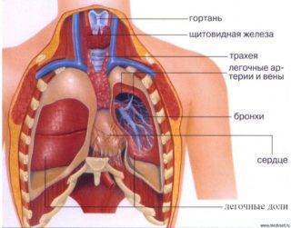 Боль под правой лопаткой сзади со стороны спины: причины жжения, что болит