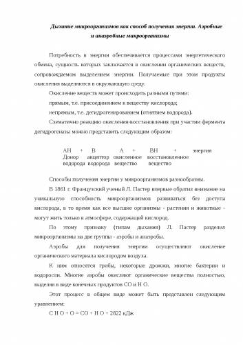 Маслянокислые бактерии - cheesehead.ru | cheesehead.ru