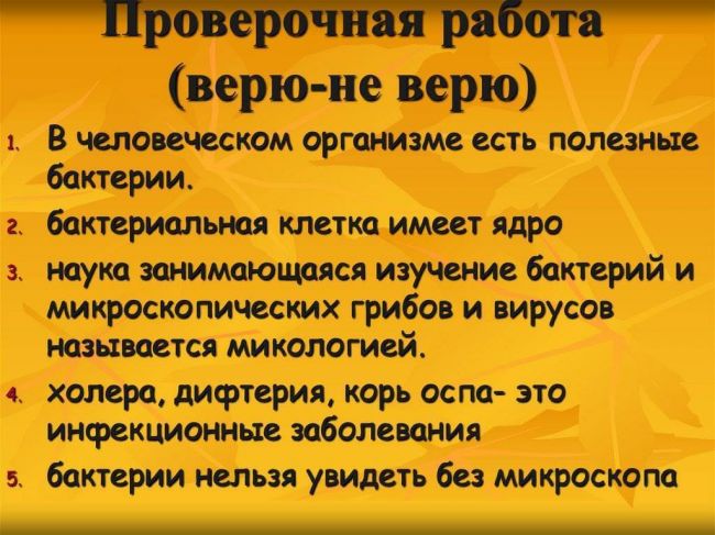 Роль бактерий в природе: влияние полезных и вредных микроорганизмов на жизнь человека