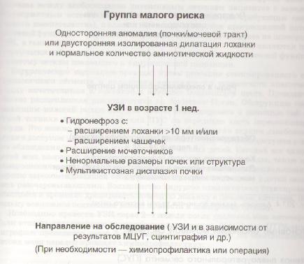 Питание при кистах в почках: противопоказания, рекомендации и меню
