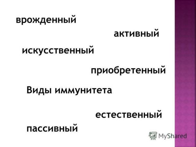 Пассивный иммунитет