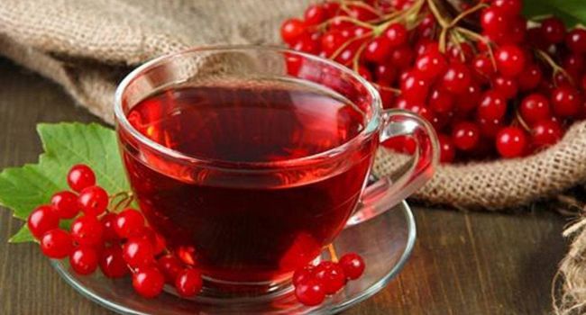 Калина от кашля – рецепты для детей