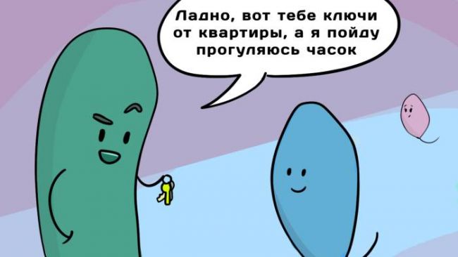 Чем и как отличаются бактерии от простейших