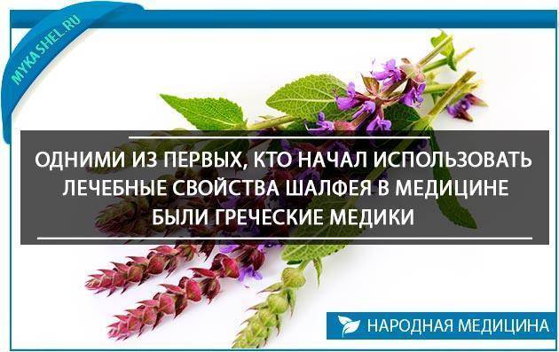 Какие народные средства помогают от кашля у детей?